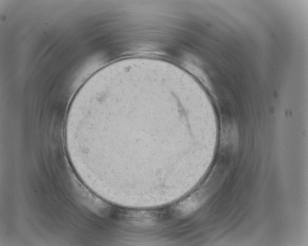 X0000080711338200701051000