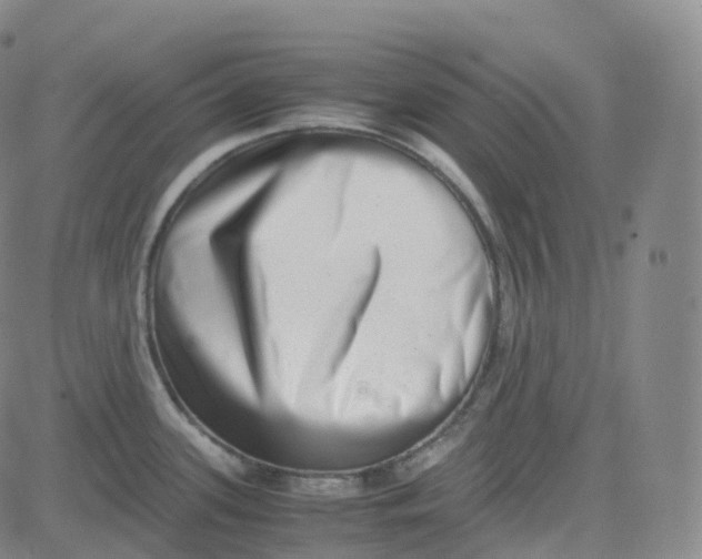 X0000080711339200701051000