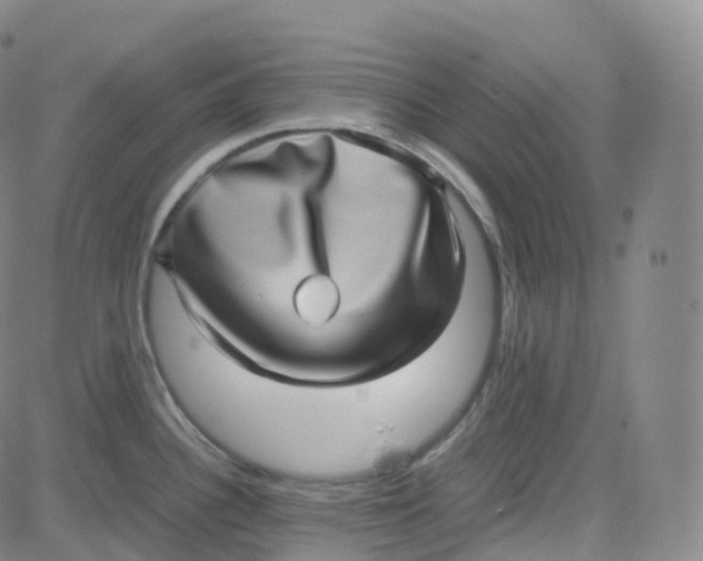 X0000080711340200701051000