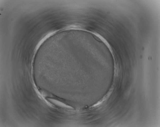 X0000080711341200701051000