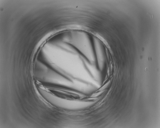 X0000080711342200701051000