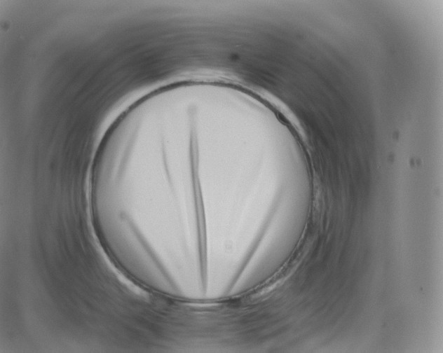 X0000080711343200701051000