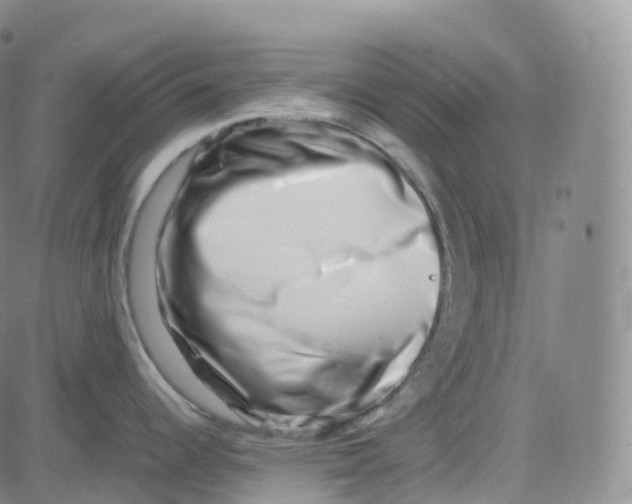 X0000080711344200701051000