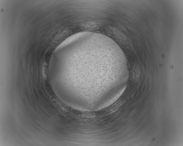 X0000080711346200701050959