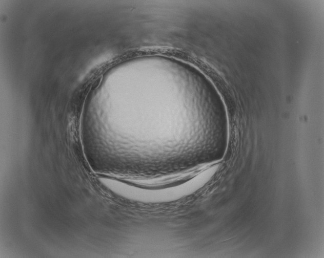 X0000080711351200701050959