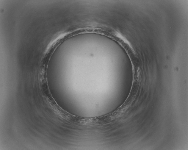 X0000080711352200701050959