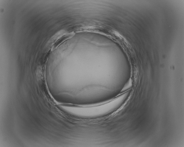 X0000080711353200701050959