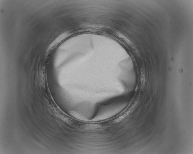 X0000080711354200701050959