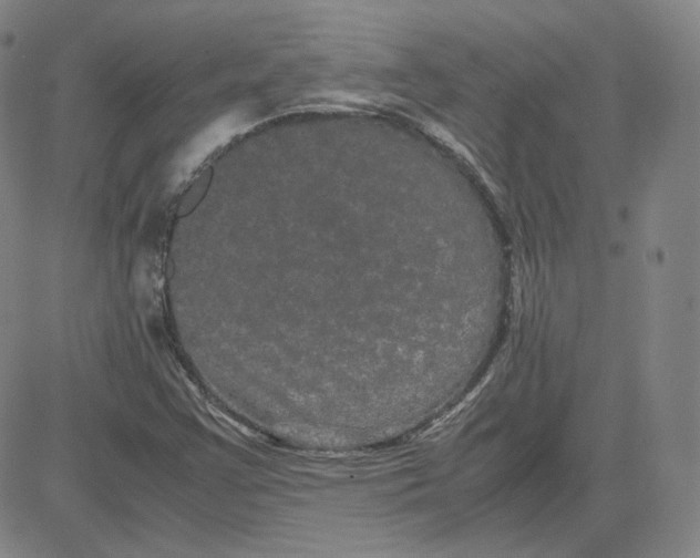 X0000080711355200701050959