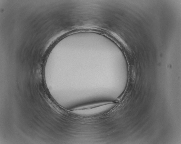 X0000080711356200701050959