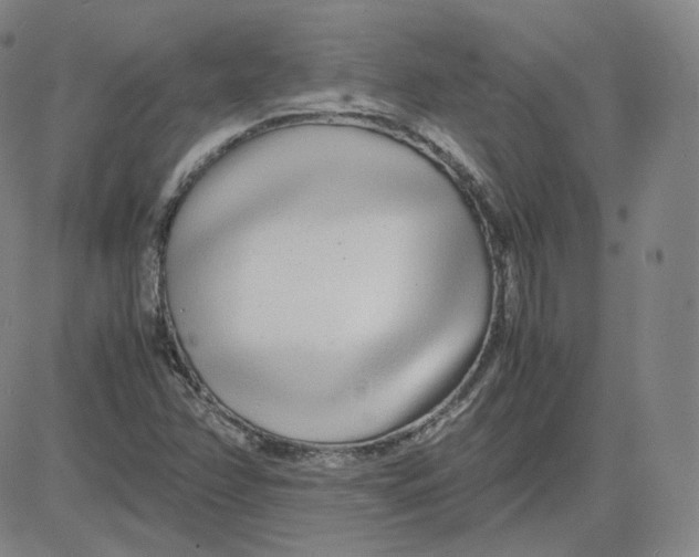 X0000080711358200701050959