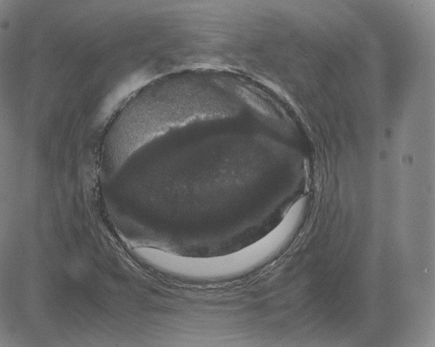 X0000080711359200701050959