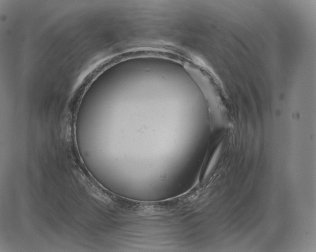 X0000080711360200701050959