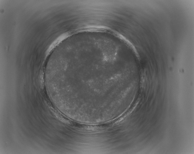 X0000080711362200701050959