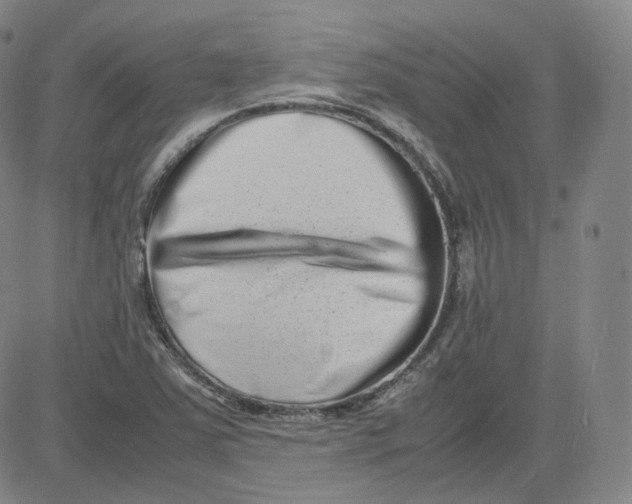 X0000080711363200701050959