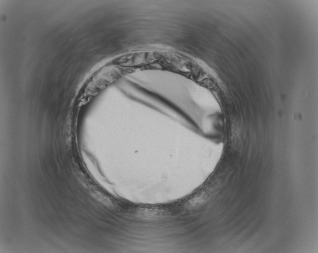 X0000080711364200701050959