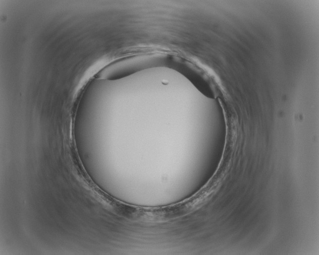 X0000080711365200701050959