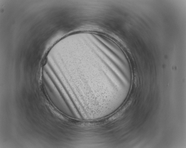 X0000080711366200701050959