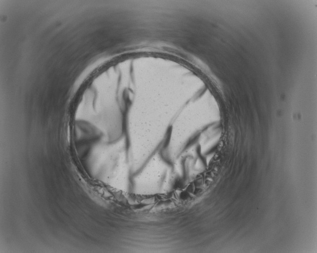 X0000080711368200701050959