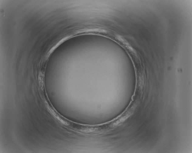 X0000080711369200701050959