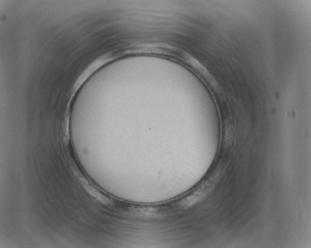 X0000080711370200701050959