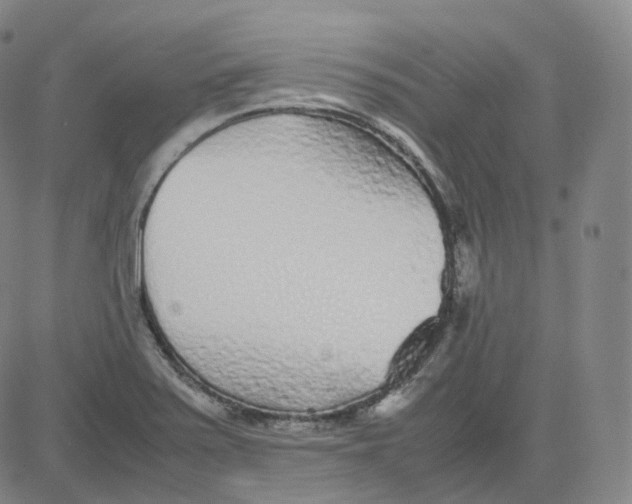 X0000080711371200701050959