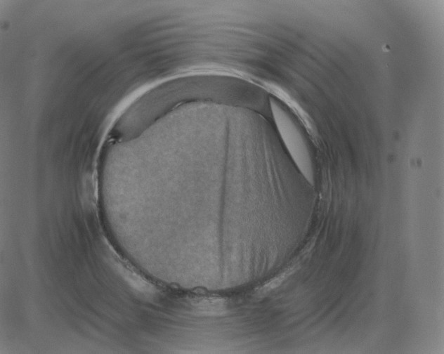 X0000080711372200701050959