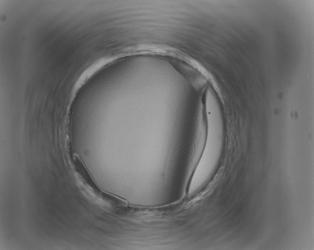 X0000080711373200701050959