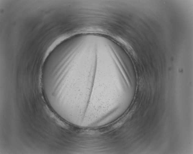 X0000080711374200701050959