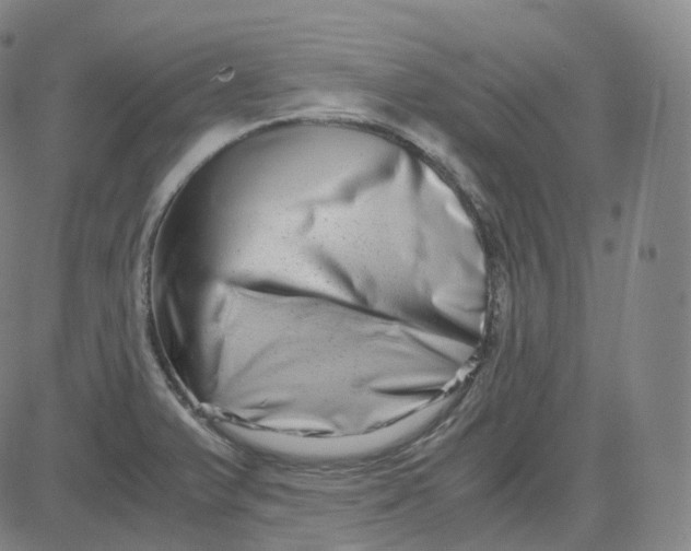 X0000080711375200701050959