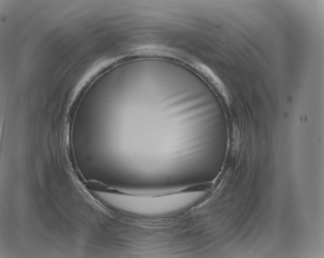 X0000080711376200701050959