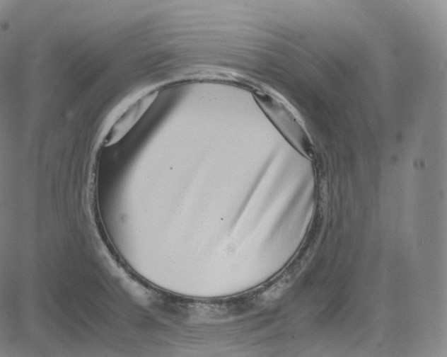 X0000080711379200701050959