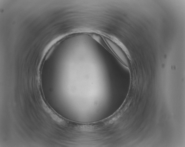 X0000080711380200701050959