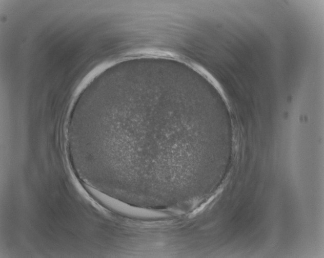 X0000080711381200701050959