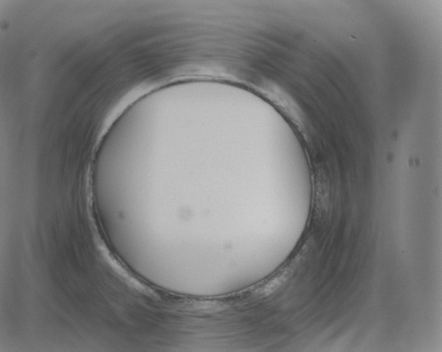 X0000080711382200701050959