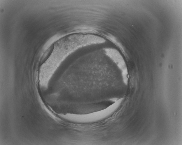 X0000080711383200701050959