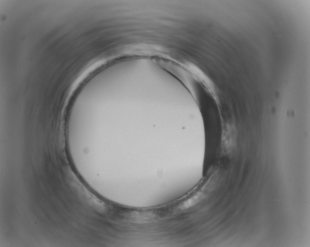 X0000080711384200701050959