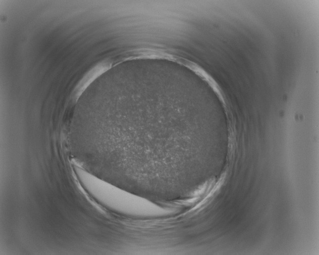 X0000080711385200701050958