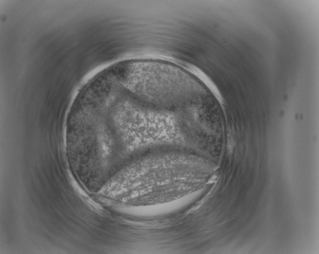 X0000080711388200701050958