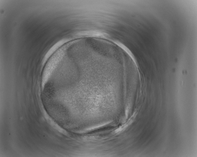 X0000080711389200701050958