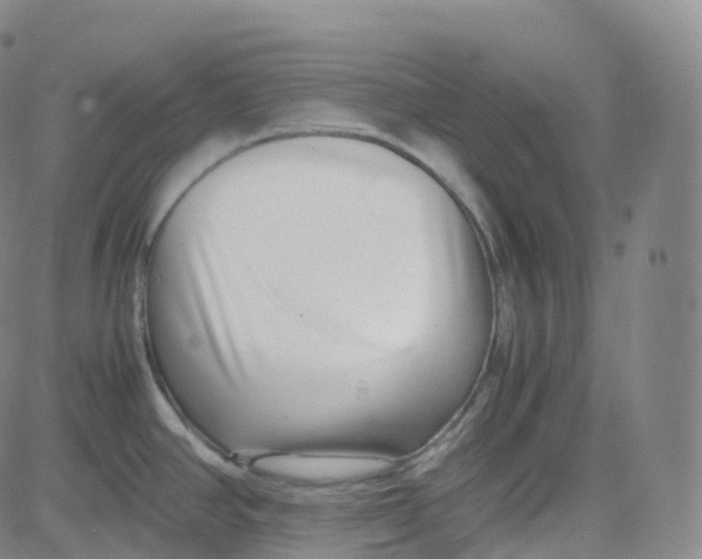 X0000080711390200701050958