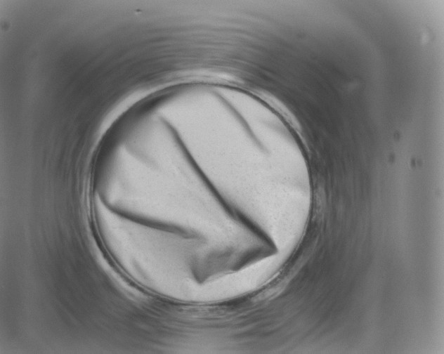 X0000080711391200701050958