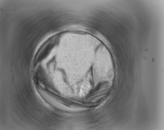 X0000080711392200701050958