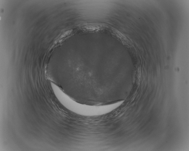 X0000080711394200701050958