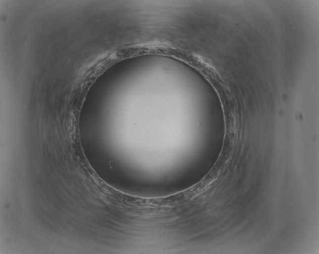 X0000080711398200701050958