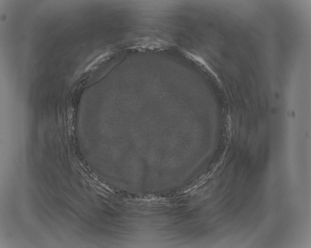 X0000080711399200701050958