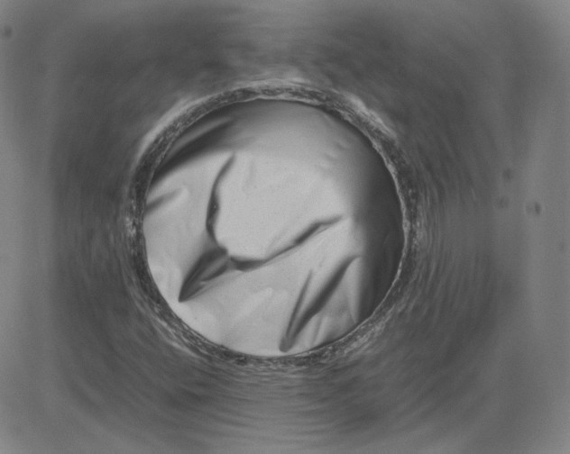 X0000080711400200701050958