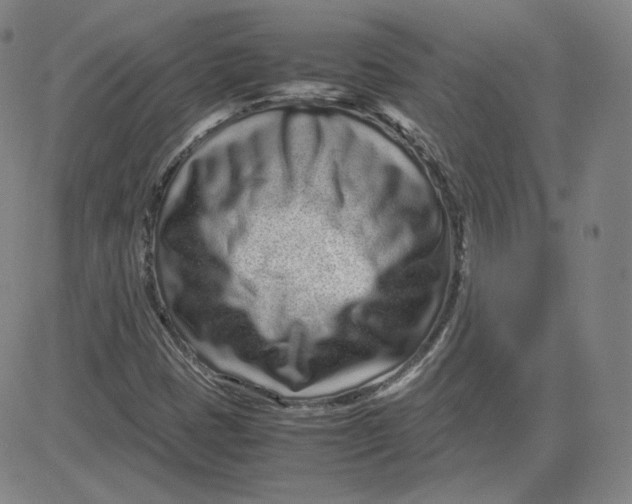 X0000080711401200701050958