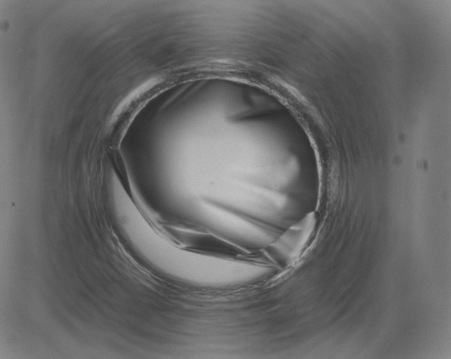 X0000080711402200701050958