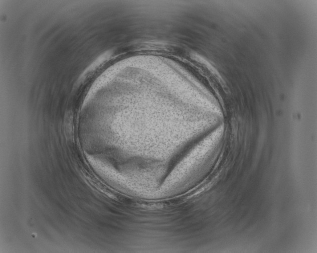 X0000080711403200701050958